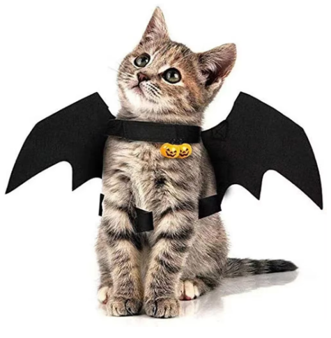 BatCat Wings